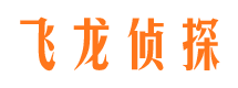 射洪私家侦探